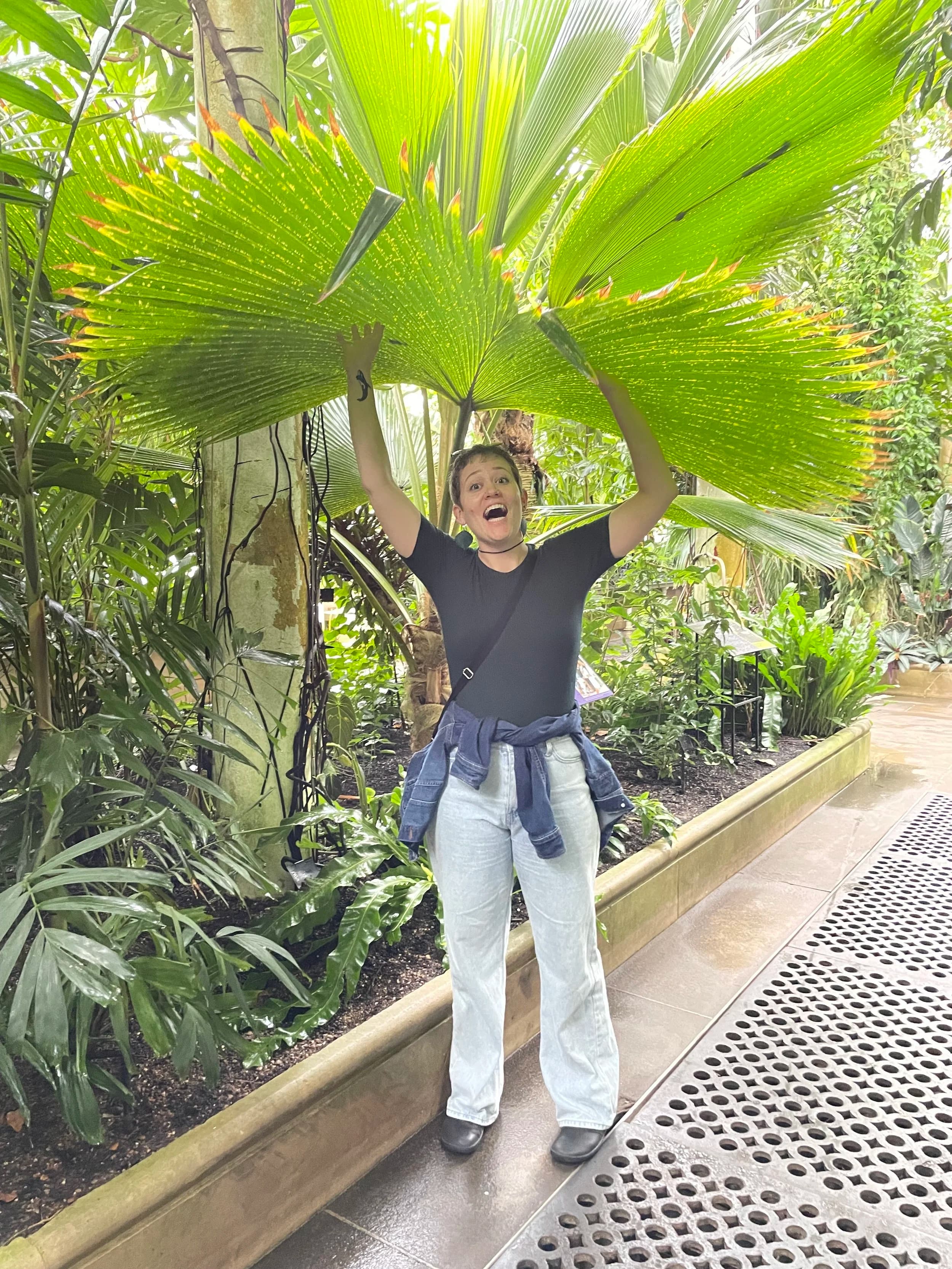 Gardening background