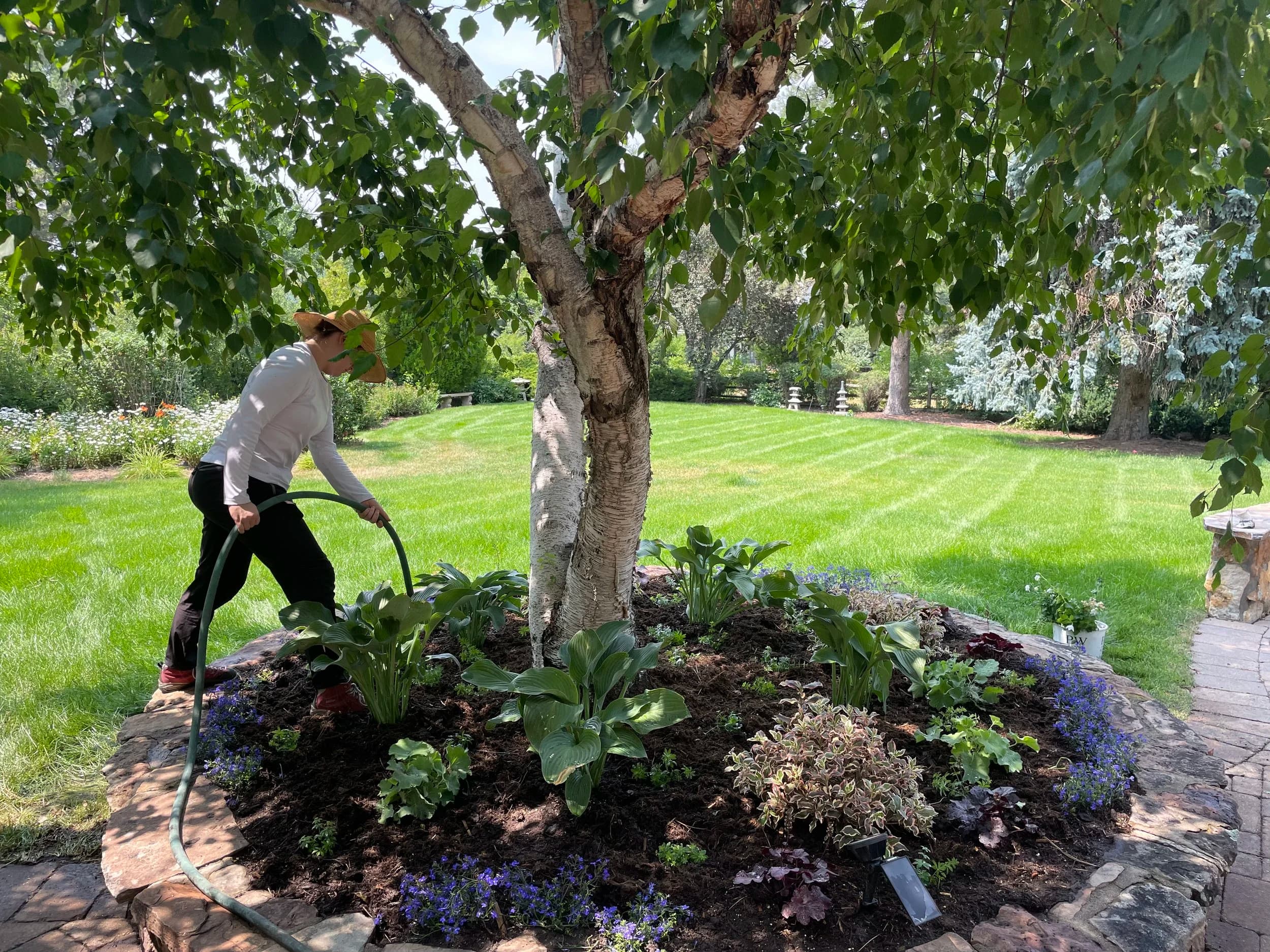 Freshly planted garden bed being watered